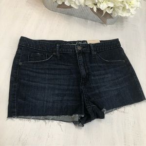 NWT Universal Thread High Rise Shortie Shorts Sz 10